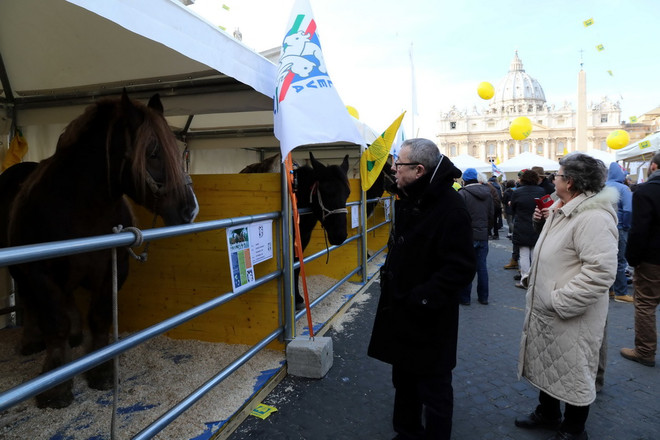Độc đáo lễ ban phước lành cho động vật ở thủ đô của Italy ảnh 2