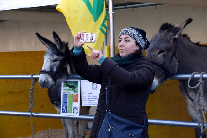 Độc đáo lễ ban phước lành cho động vật ở thủ đô của Italy ảnh 4