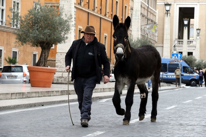 Độc đáo lễ ban phước lành cho động vật ở thủ đô của Italy ảnh 9