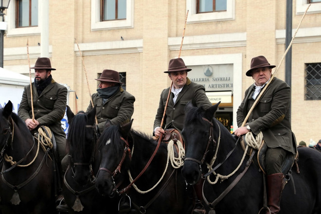 Độc đáo lễ ban phước lành cho động vật ở thủ đô của Italy ảnh 14