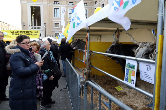 Độc đáo lễ ban phước lành cho động vật ở thủ đô của Italy ảnh 8