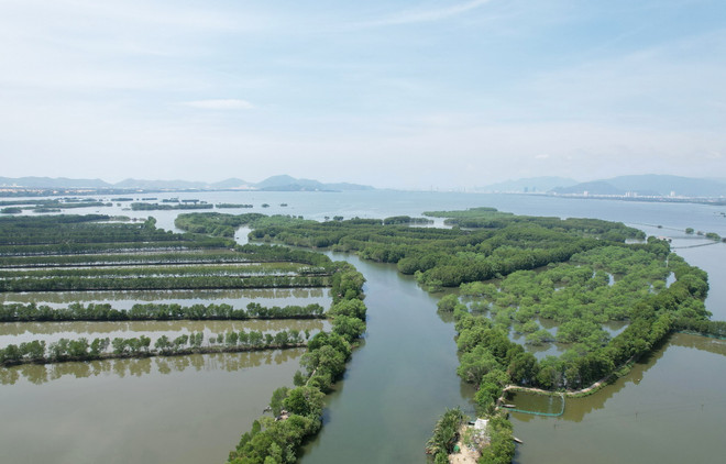 ttxvn_rung ngap man 12.jpg