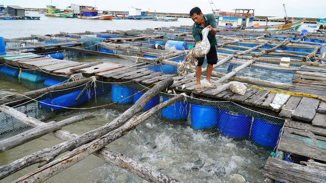 ttxvn_nuoi bien 1.jpg