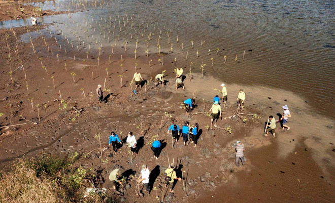 ttxvn_rung ngap man 9.jpg