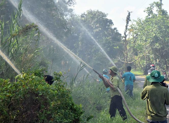 Lắp camera chuyên dụng để quản lý, phòng chống cháy rừng U Minh Hạ ảnh 1