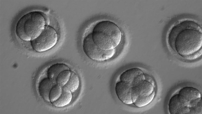 Lần đầu thành công trong thử nghiệm công nghệ chỉnh sửa gene ảnh 1