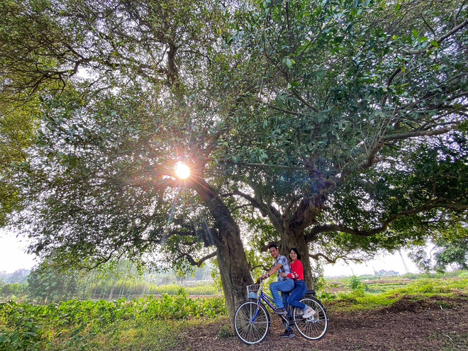 Nhiều hoạt động kích cầu đánh thức doanh nghiệp 'ngủ đông' ảnh 2