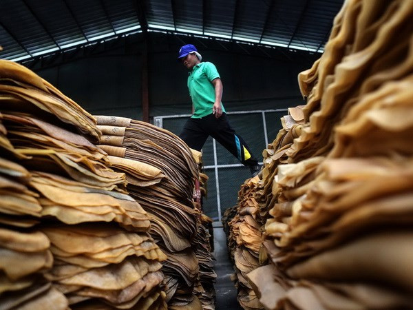 Malaysia phê duyệt 2 triệu USD để điều chỉnh giá cao su ảnh 1