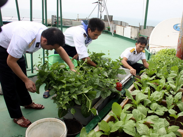 Chiến sỹ Nhà giàn DK1 vững vàng nơi đầu sóng ngọn gió ảnh 1