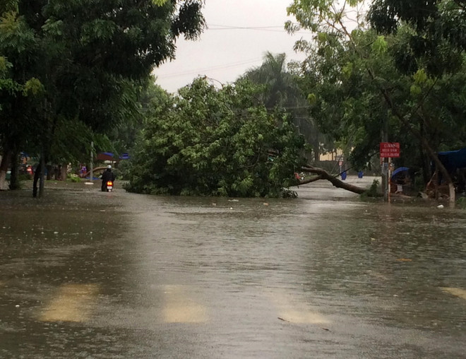 Quốc lộ 1A đoạn qua Quảng Nam ngập sâu, giao thông hoàn toàn tê liệt ảnh 1