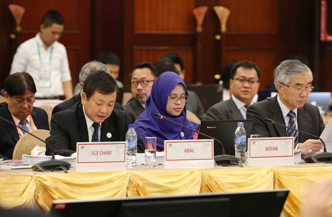 Khai mạc Hội nghị tổng kết quan chức cao cấp APEC tại Đà Nẵng ảnh 2