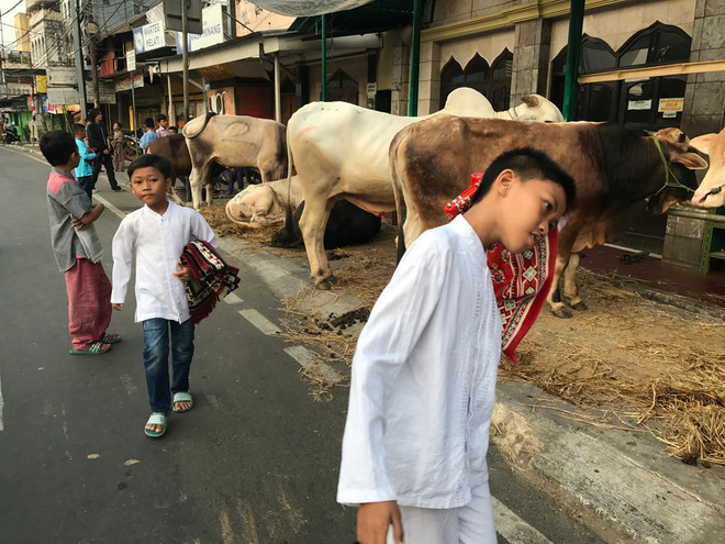 Cận cảnh lễ hiến tế Idul Adha của người Hồi giáo tại Indonesia ảnh 3