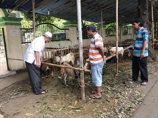 Cận cảnh lễ hiến tế Idul Adha của người Hồi giáo tại Indonesia ảnh 7