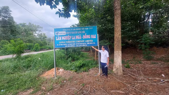 Đồng Nai điều tra, xử lý nghiêm hành vi khai thác khoáng sản trái phép ảnh 4
