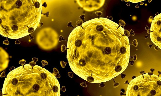 Nghiên cứu hiệu quả của tia laser đối với virus SARS-CoV-2 ảnh 1