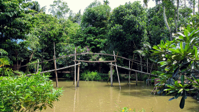[Video] Nghe nông dân miệt vườn nói về tiêu chuẩn “Hà Nội ăn hàng” ảnh 1