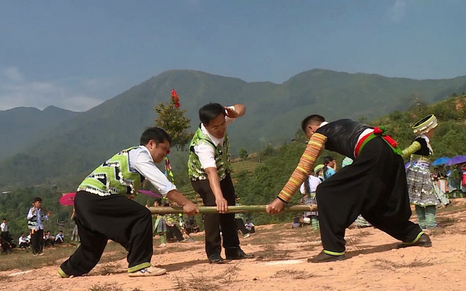 vnp_le hoi gau tao.jpg