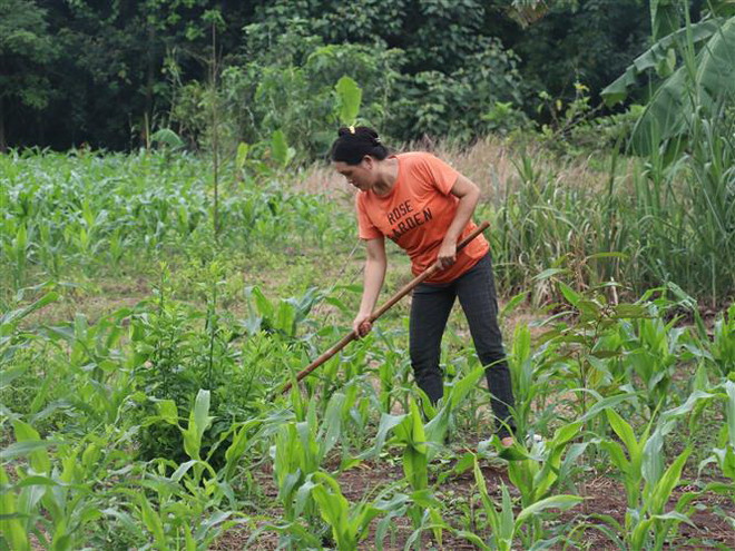 Khi ý Đảng đi vào lòng dân: Cả hệ thống chính trị cùng vào cuộc ảnh 1