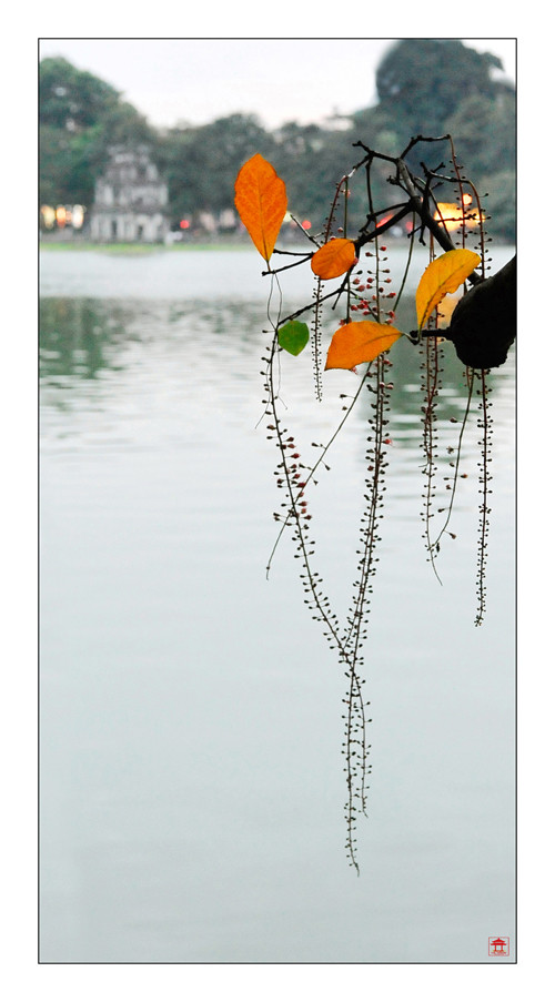 Những góc nhìn tinh tế về Hồ Gươm bốn mùa khoe sắc ảnh 3