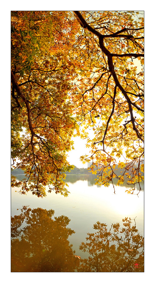 Những góc nhìn tinh tế về Hồ Gươm bốn mùa khoe sắc ảnh 7