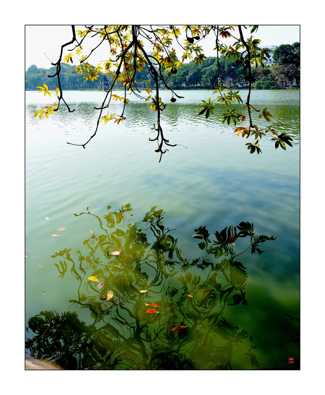Những góc nhìn tinh tế về Hồ Gươm bốn mùa khoe sắc ảnh 6