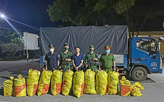 Quảng Ninh: Thu giữ hơn 300kg pháo vận chuyển trái phép vào Việt Nam ảnh 1