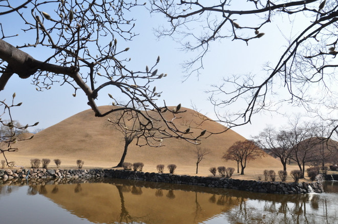 Vietravel mở bán tour “Hành trình di sản” bay thẳng Hà Nội-Busan ảnh 3