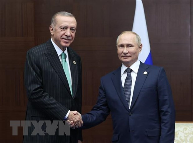 Tổng thống Thổ Nhĩ Kỳ Recep Tayyip Erdogan (trái) và Tổng thống Nga Vladimir Putin. (Ảnh: AFP/TTXVN) Lãnh đạo Nga, Thổ Nhĩ Kỳ điện đàm về quan hệ đối tác song phương ảnh 1