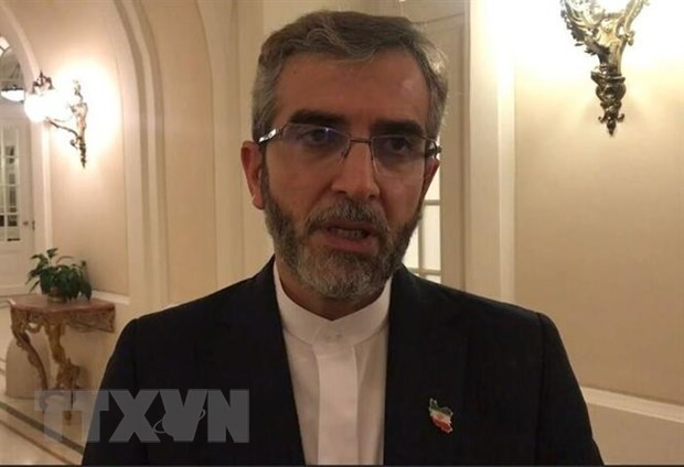 Iran khẳng định phấn đấu giải quyết hòa bình các vấn đề khu vực ảnh 1