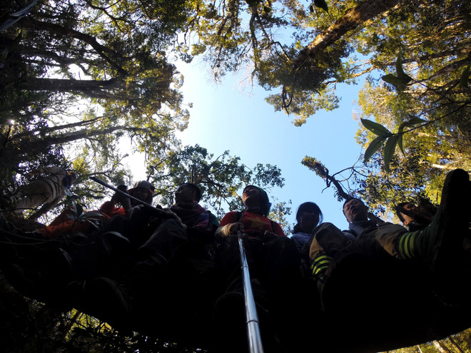 Thị trường nội địa 2021: “Xoay trục” để khôi phục nền kinh tế xanh ảnh 3