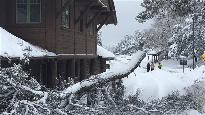 Bão mạnh hoành hành ở Mỹ, hàng triệu khách du lịch bị ảnh hưởng ảnh 1
