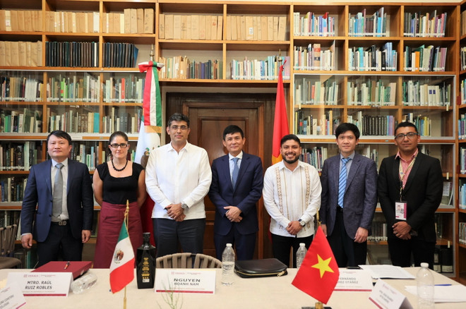 Việt Nam tìm kiếm cơ hội hợp tác với các địa phương Mexico ảnh 2