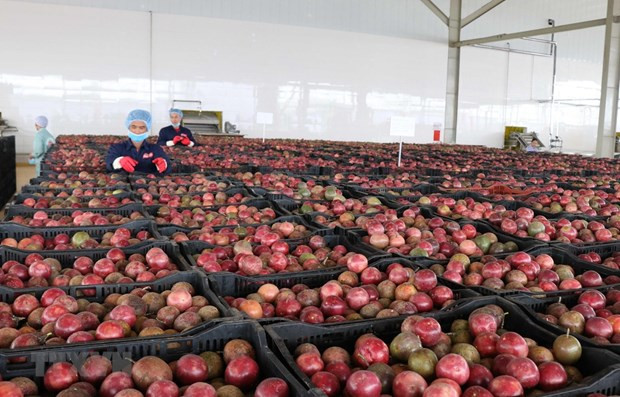 Kim ngạch thương mại hai chiều Việt Nam-Lào tiếp tục tăng ảnh 1