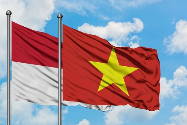 "Thời khắc vàng” trong quan hệ hợp tác Việt Nam-Indonesia ảnh 1