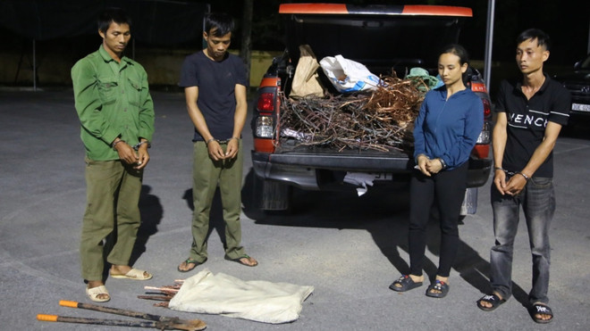 Bắt giữ nhóm đối tượng trộm cắp cáp điện trên cao tốc Vân Đồn-Móng Cái ảnh 1