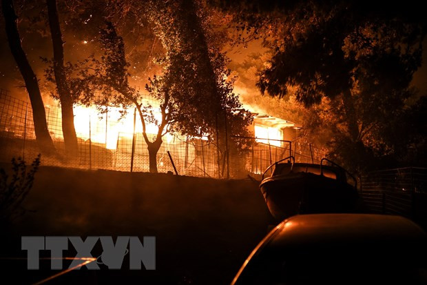 Mỹ: Đám cháy rừng vượt tầm kiểm soát tại bang Oregon ảnh 1