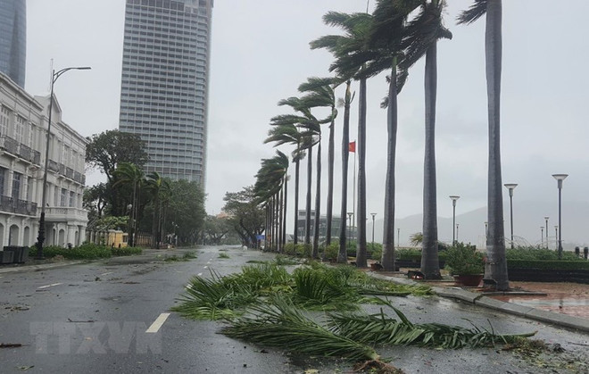 Bão số 4-Noru: Đà Nẵng tích cực hỗ trợ người dân khắc phục thiệt hại ảnh 1