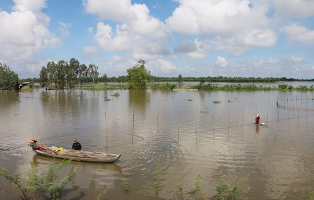 Người dân đầu nguồn châu thổ Cửu Long mưu sinh mùa lũ ảnh 1