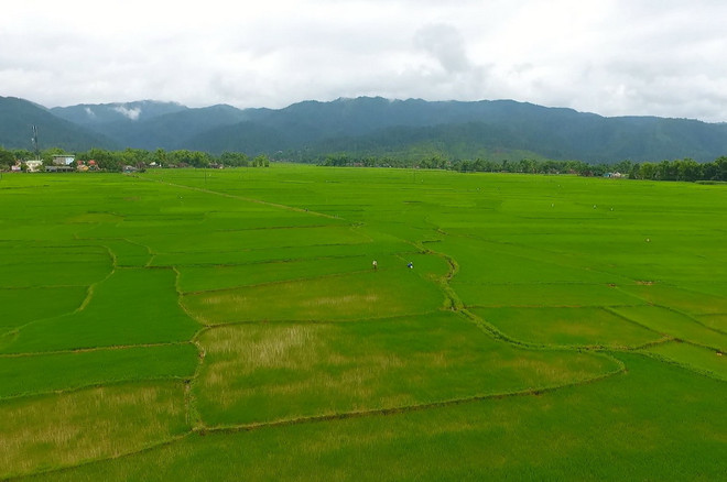 Đại thủy nông Nậm Rốm ở Điện Biên: Công trình mang sức trẻ ảnh 5