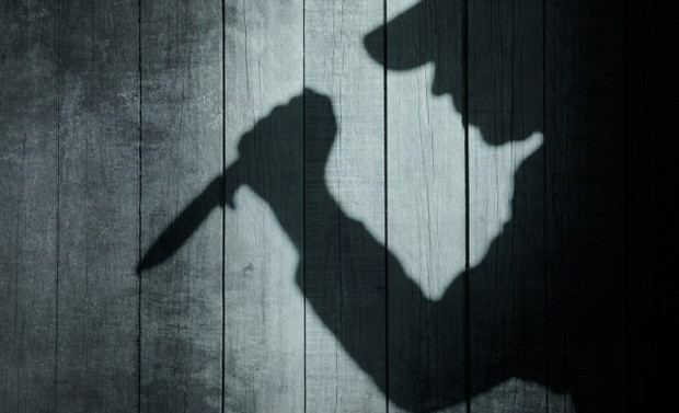 Ninh Thuận: Bắt khẩn cấp đối tượng chém chết cả mẹ và bà nội ảnh 1