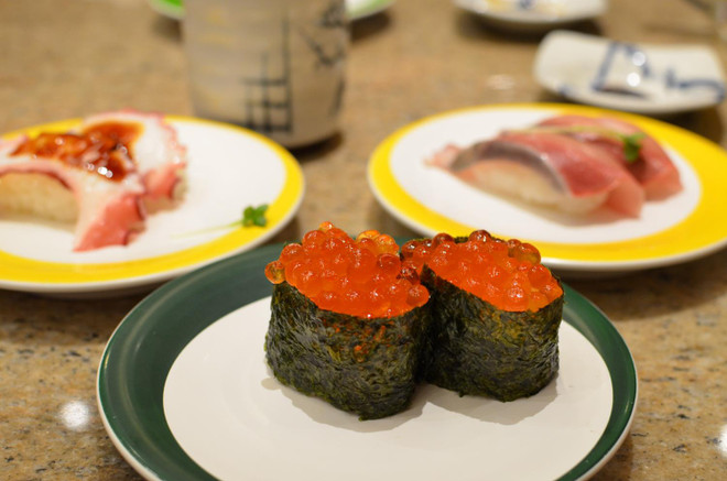 Ngỡ ngàng với những cánh đồng màu sắc rực rỡ ở Hokkaido ảnh 8