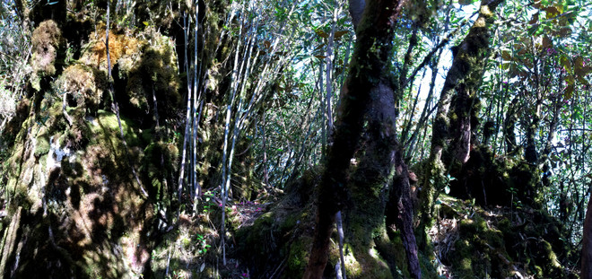 Bài 2: Lạc vào thế giới khác trên "nóc nhà thứ hai của Đông Dương" ảnh 1