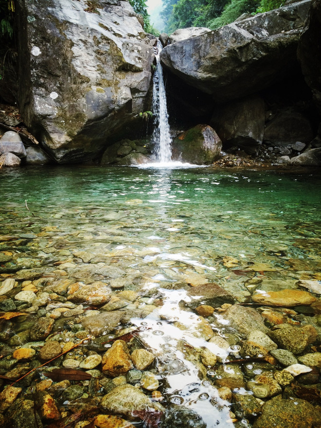 Lạc vào khu rừng cổ tích đầy ma quái và lãng mạn trên đỉnh Pu Ta Leng ảnh 3