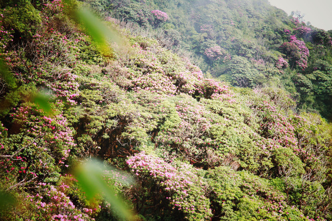 Bài 2: Lạc vào thế giới khác trên "nóc nhà thứ hai của Đông Dương" ảnh 5