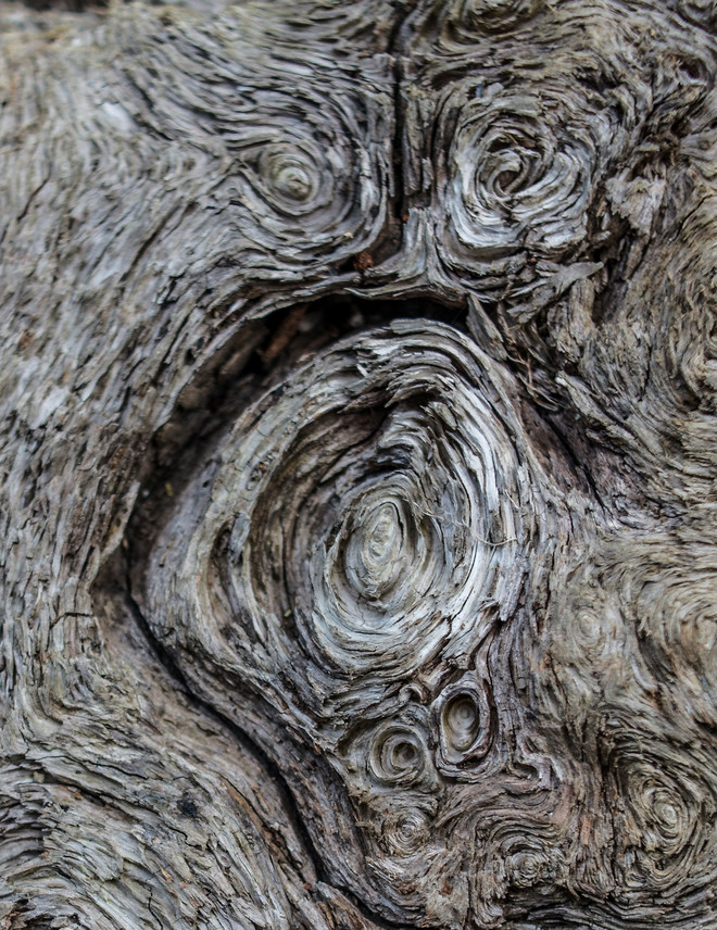 Lạc vào khu rừng cổ tích đầy ma quái và lãng mạn trên đỉnh Pu Ta Leng ảnh 2