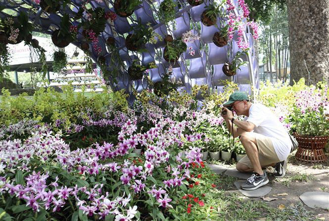 'Đậm đà hương sắc' tại Festival hoa lan Thành phố Hồ Chí Minh ảnh 2