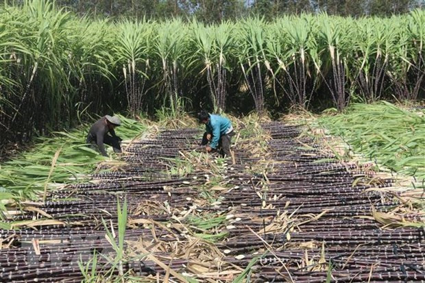 Triều cường dâng cao gây ngập trên tuyến Quốc lộ 1A đoạn qua Bạc Liêu ảnh 1