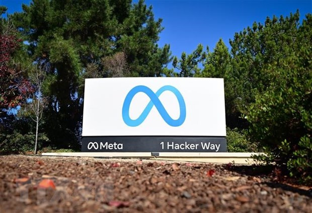 Châu Âu mở rộng lệnh cấm Meta khai thác dữ liệu người dùng ảnh 1