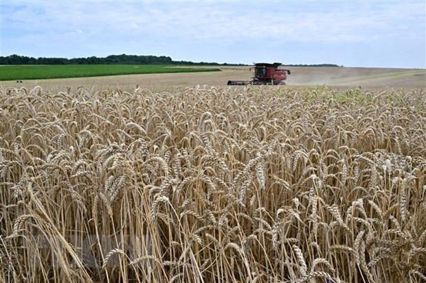 FAO cảnh báo kinh tế toàn cầu tổn thất hàng nghìn tỷ USD từ chi phí ẩn ảnh 1