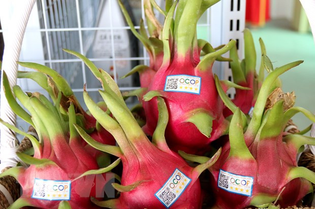 Việt Nam quảng bá nông sản và thực phẩm chế biến tại Ấn Độ ảnh 1